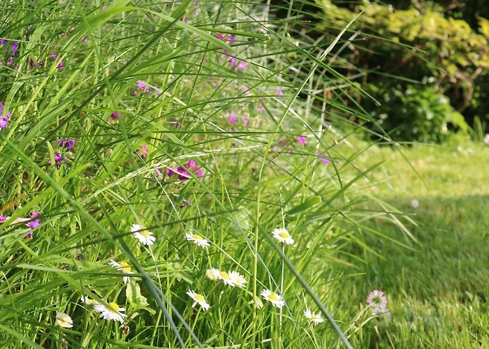 Gaestehaus Maier Faaker *